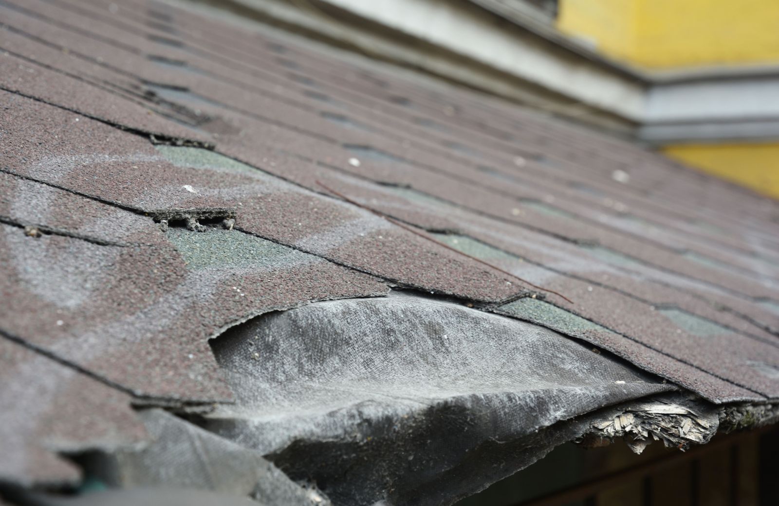 Tomahawk Roofing Contractors PLLC Images